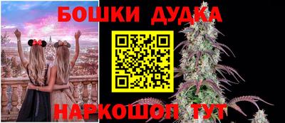 твердый Гай