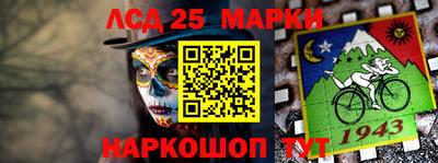 Альфа ПВП Гатчина