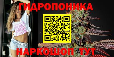 Альфа ПВП Гатчина