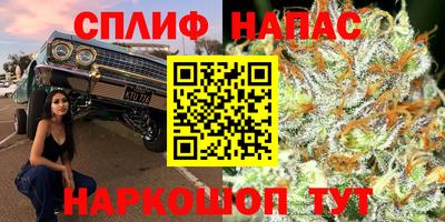 гидра Гагарин