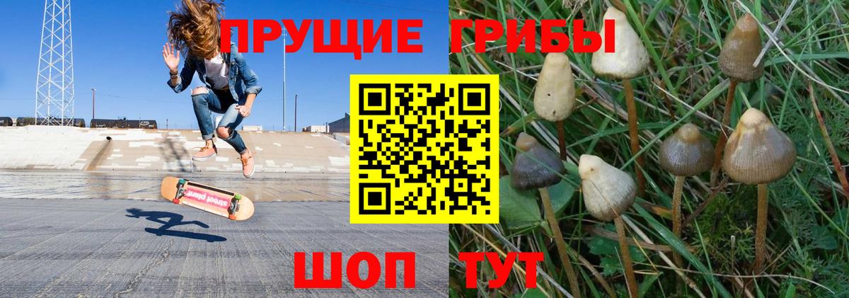 Таганрог  Галлюциногенные грибы мицелий  Вход с VPN 